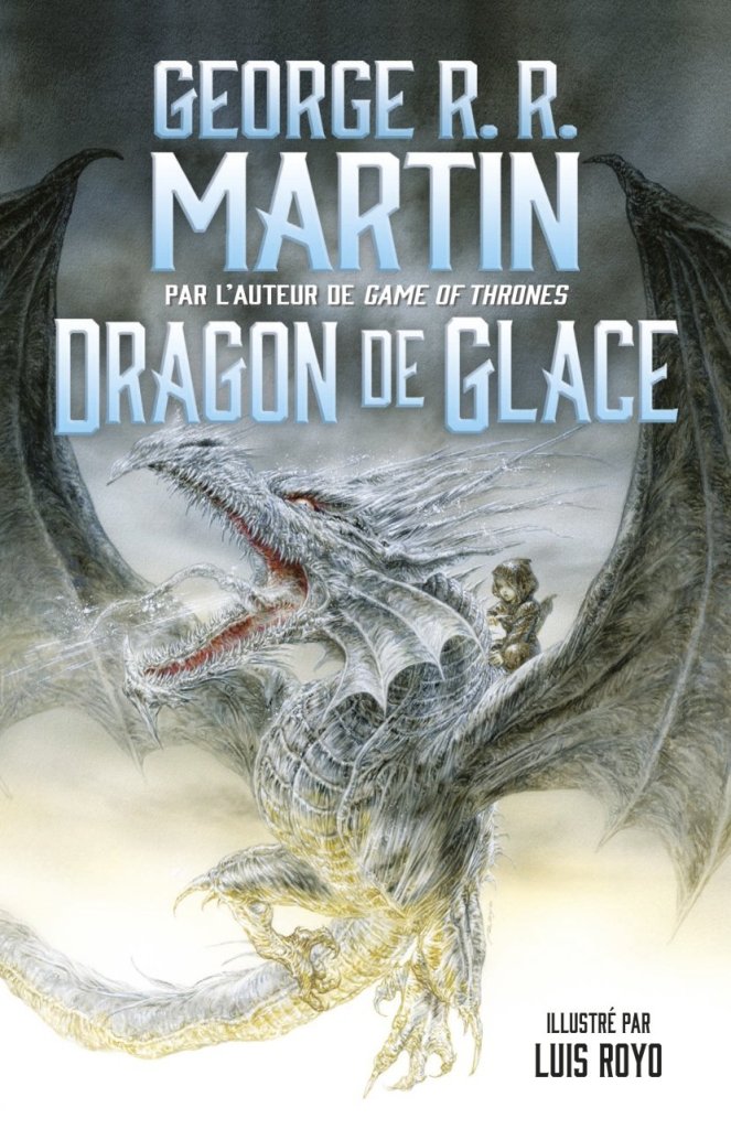 Dragon de glace, chouette petit roman&nbsp;illustré