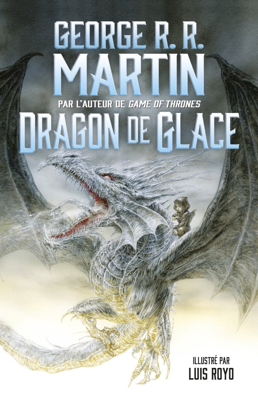 Dragon de glace, chouette petit roman&nbsp;illustré