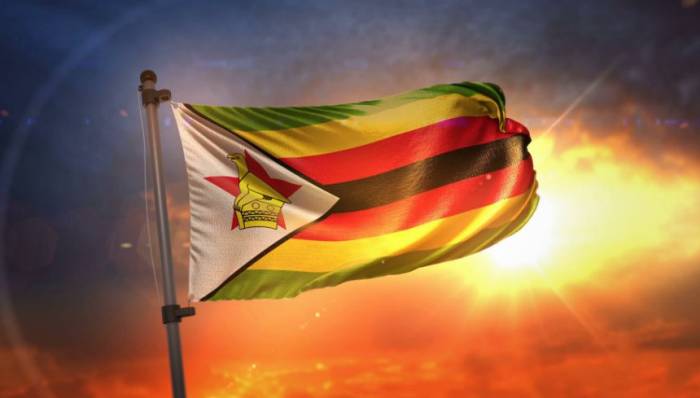 Chroniques du Zimbabwe #1 – Premier pas vers la&nbsp;démocratie