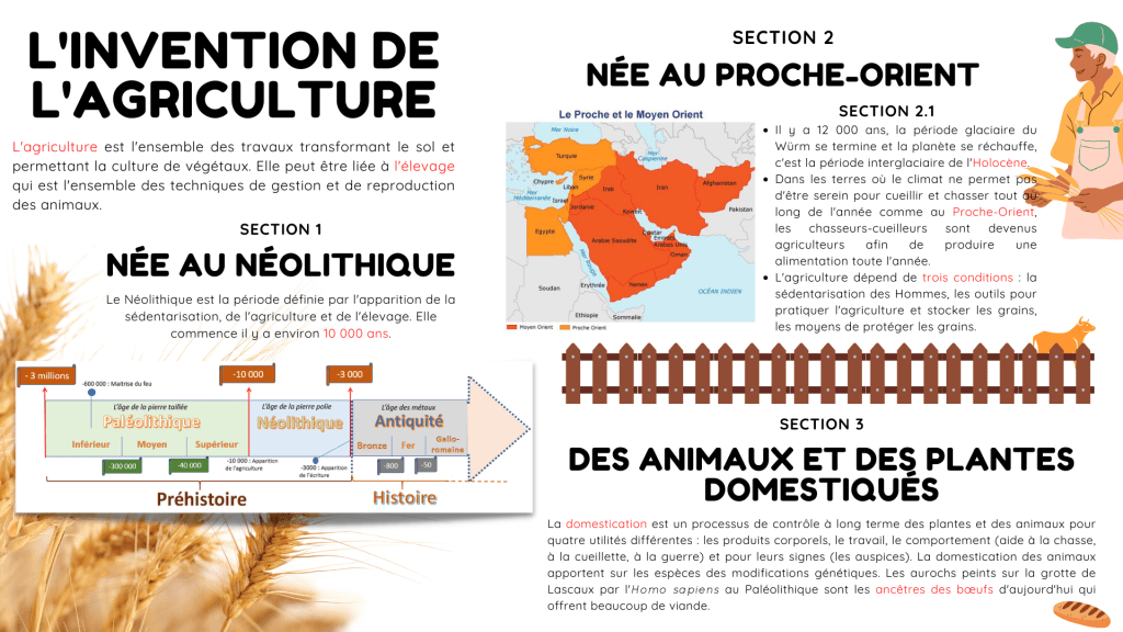 Posters sur la&nbsp;Préhistoire