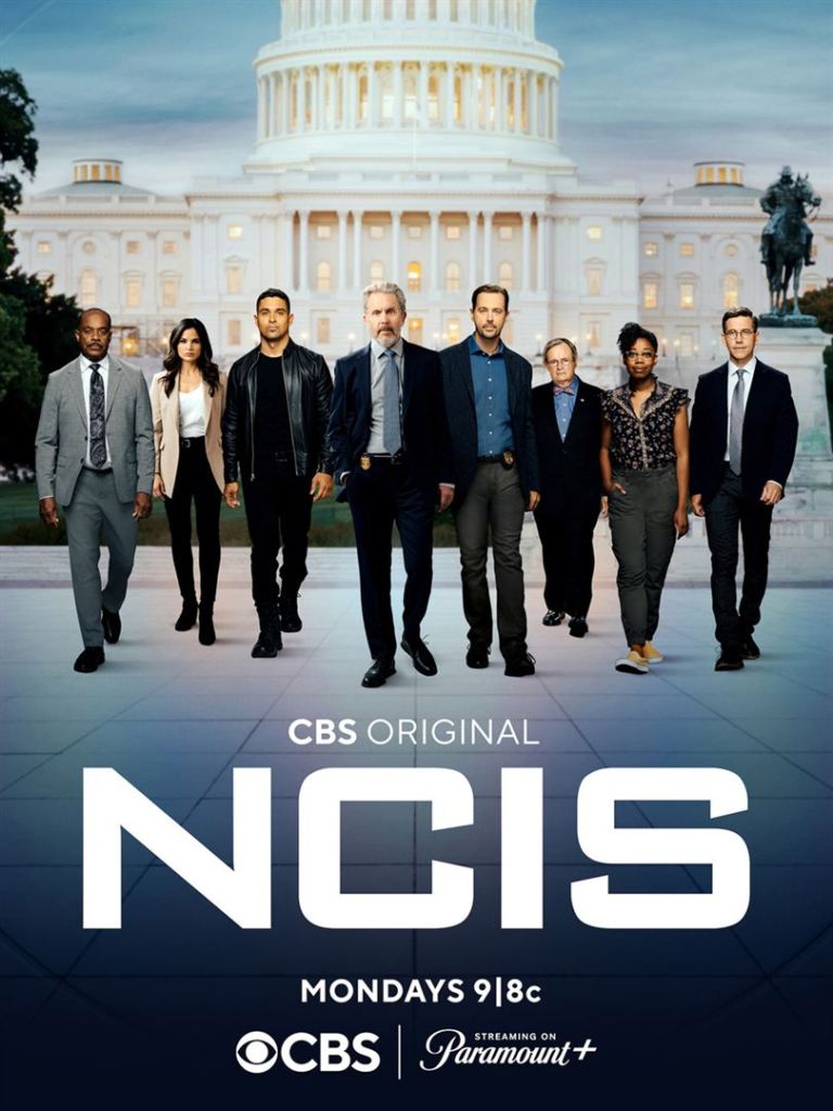 NCIS (saison 20) : le nouveau casting face à&nbsp;l&rsquo;ancien
