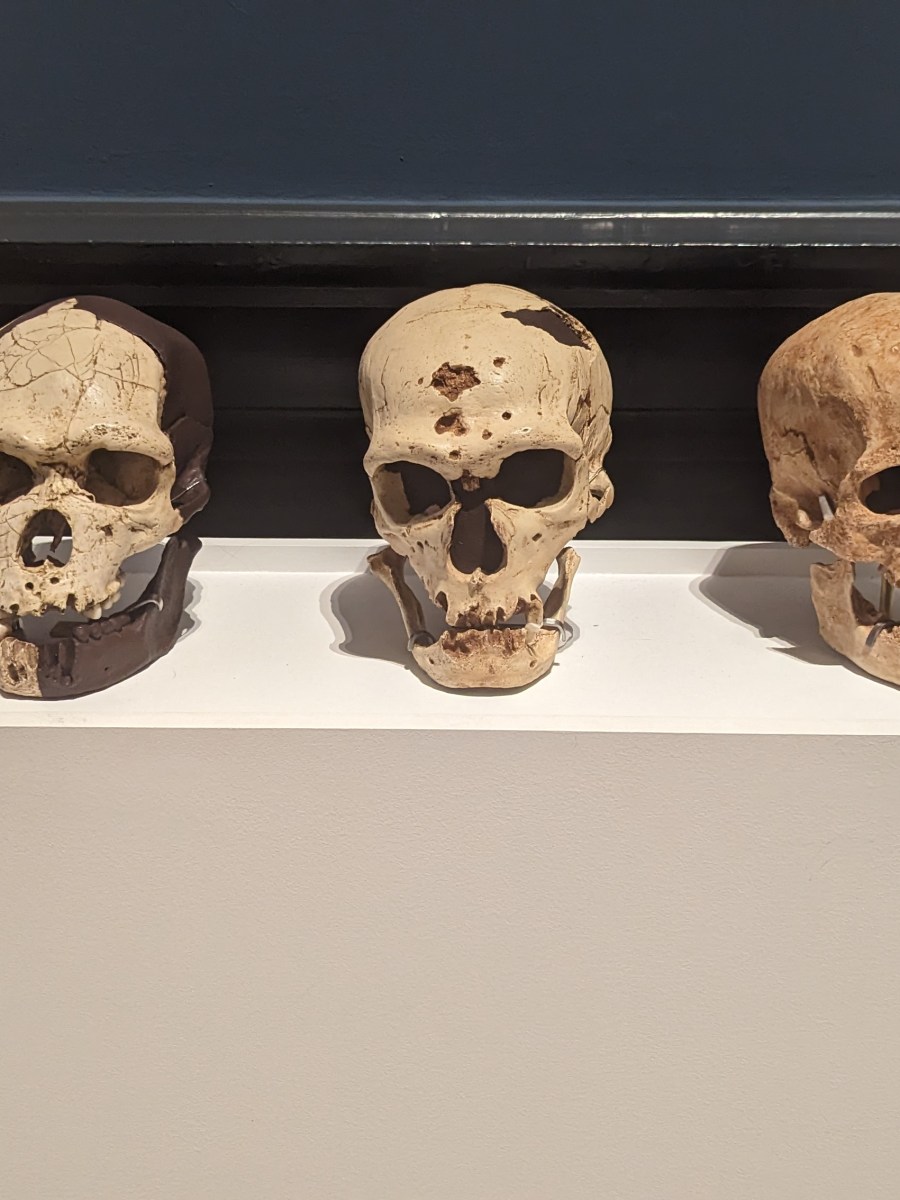 Exposition : La Somme des Préhistoires au musée de&nbsp;Picardie