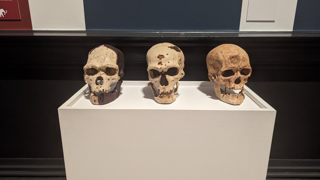 Exposition : La Somme des Préhistoires au musée de&nbsp;Picardie