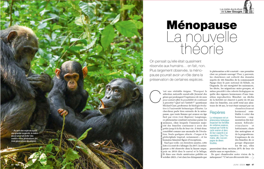 Photographie de la ménopause chez les animaux.