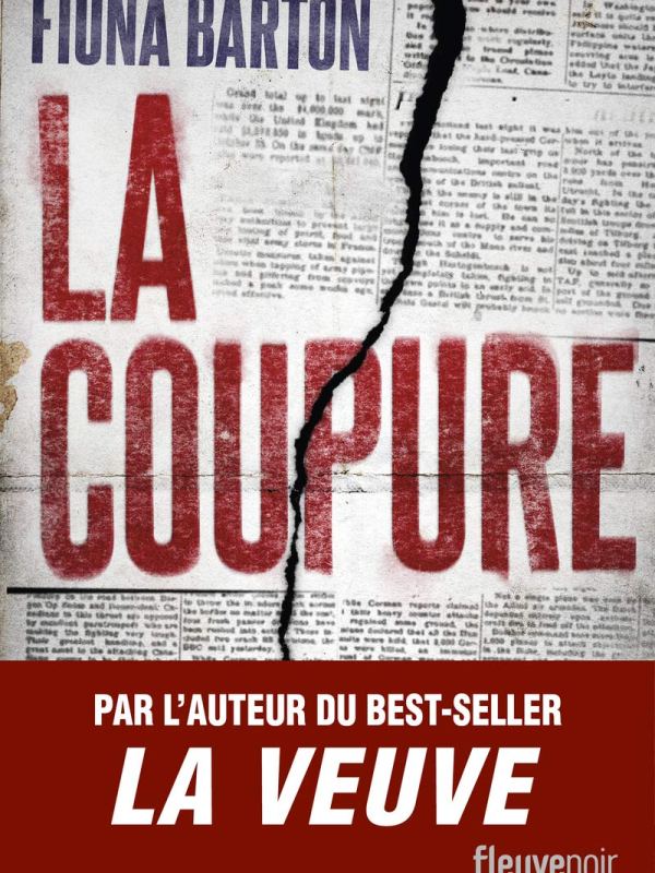 La coupure de Fiona Barton : Enquête sur la découverte d&rsquo;un bébé&nbsp;mort