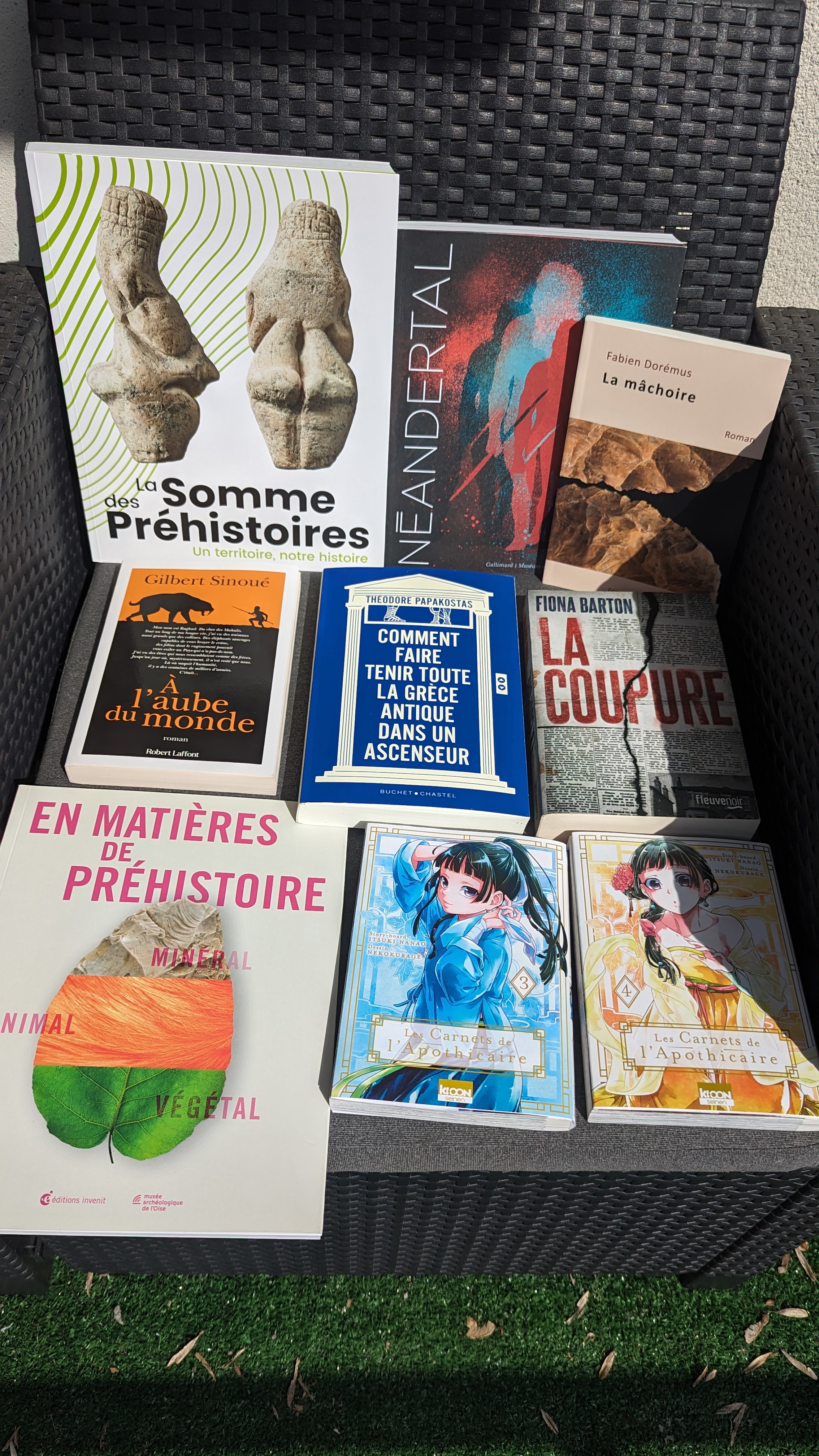 Ma pile de lecture en juillet 2024