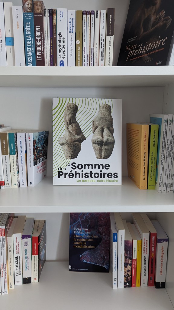 Livre et catalogue la Somme des Préhistoires