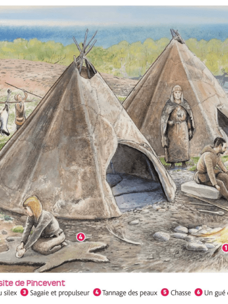 6e – Les débuts de l&rsquo;humanité