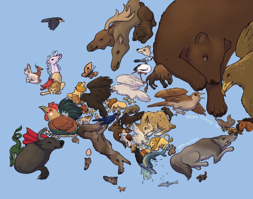 6e – Les outils du&nbsp;géographe